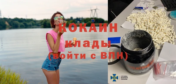 PSILOCYBIN Бородино