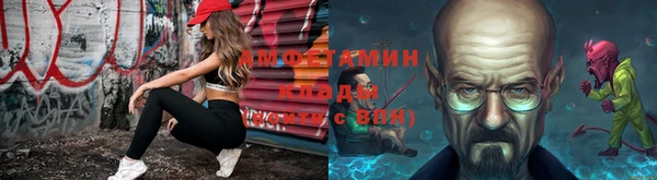 PSILOCYBIN Бородино