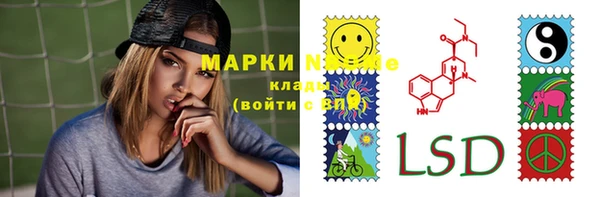 PSILOCYBIN Бородино