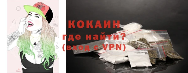 PSILOCYBIN Бородино