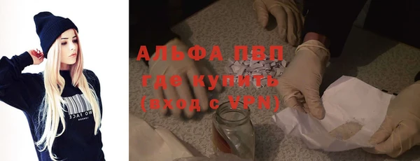 PSILOCYBIN Бородино