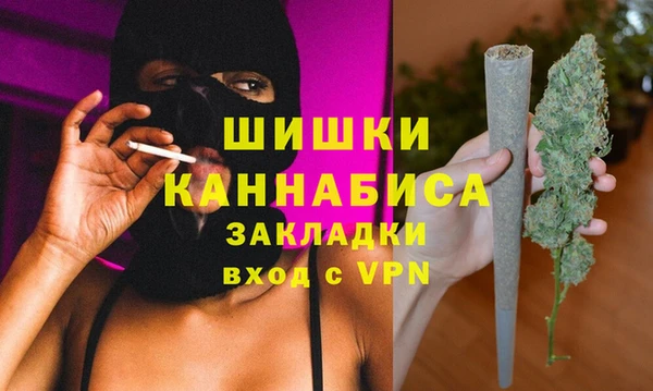 PSILOCYBIN Бородино