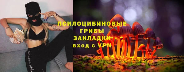 PSILOCYBIN Бородино